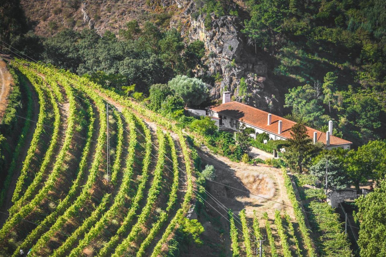 ペーゾ・ダ・レーグア Quinta Do Valdalageaゲストハウス エクステリア 写真